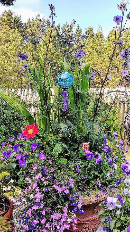 Boreas Bed & Breakfast Inn Long Beach Exterior foto